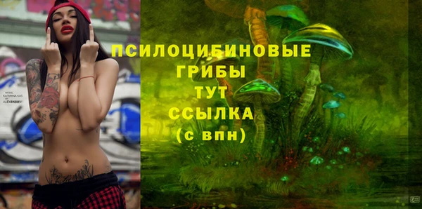 прущие крисы Осташков